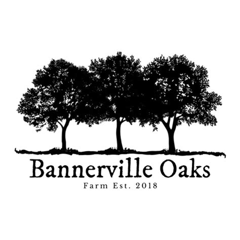 Bannerville oaks farm 5K views, 32 likes, 28 loves, 27 comments, 6 shares, Facebook Watch Videos from Bannerville Oaks Farm: It’s been a whole year already! A lot of amazing things have happened so far, from our own